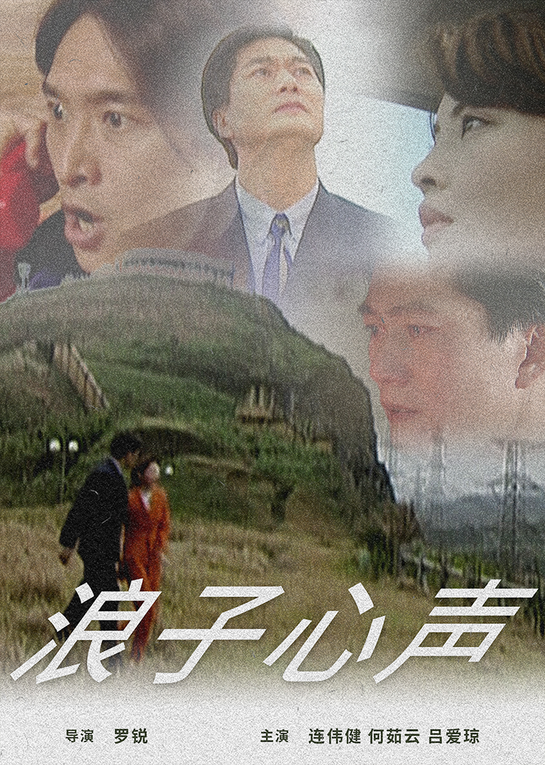 罗锐导演电视剧浪子心声