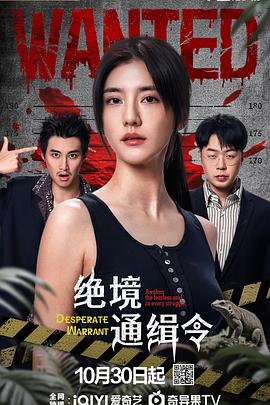 胡嘉豪导演电视剧绝境通缉令