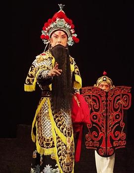 萧锋导演电视剧袁崇焕