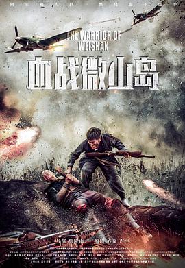 焦晓雨导演电影血战微山岛