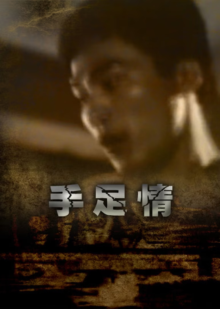 韩俊主演电视剧手足情1988